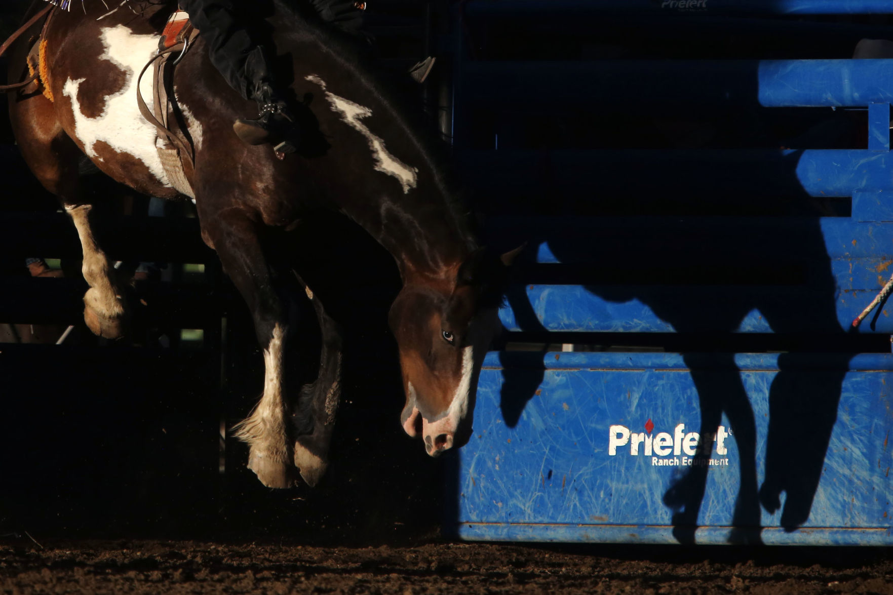 PRCA: Friday